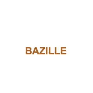 Pic Bazille